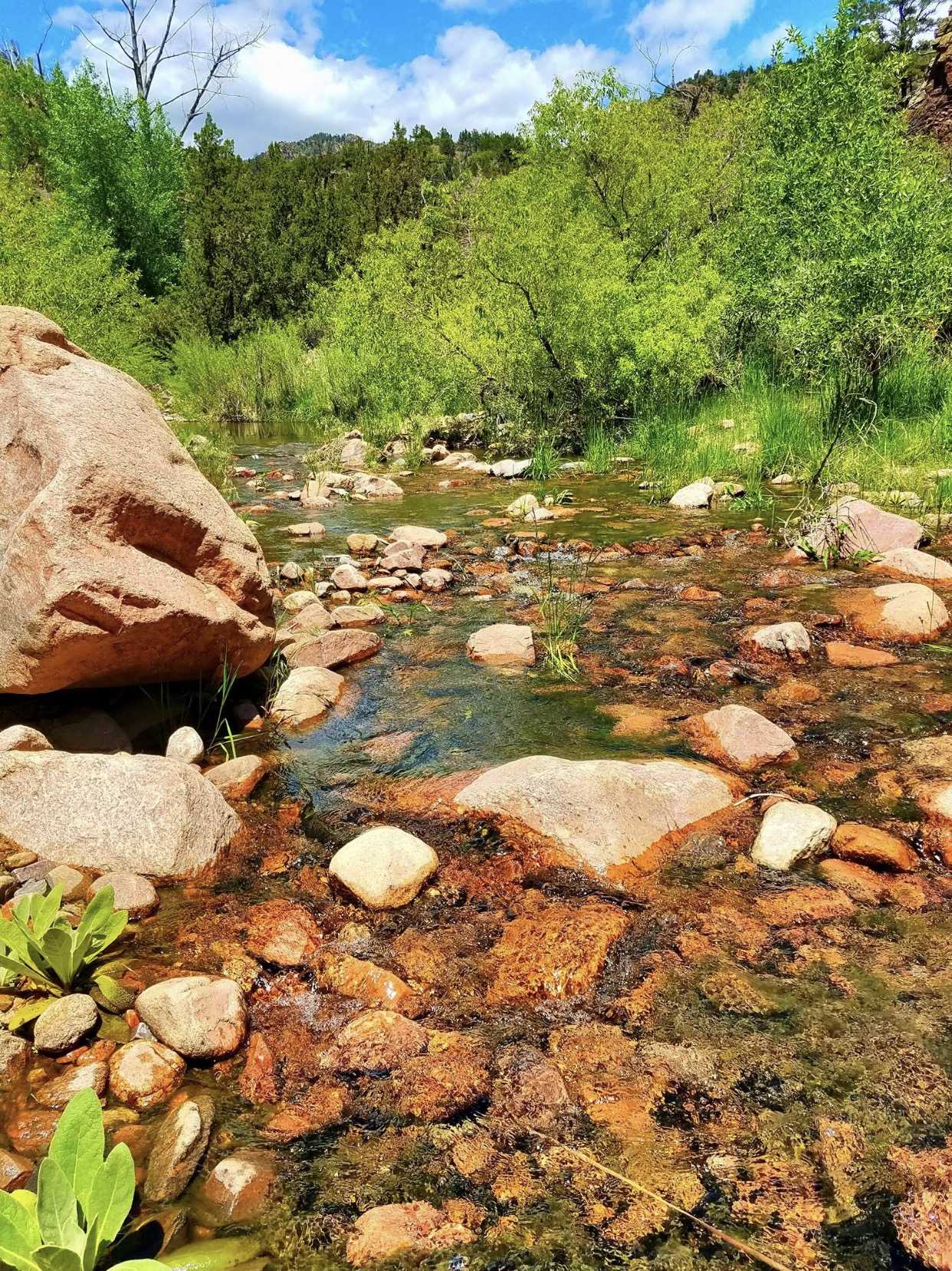 Albert Einstein Look deep into nature, and the you will understand everything better.